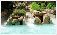 Disney World Typhoon Lagoon Water Park Attractions